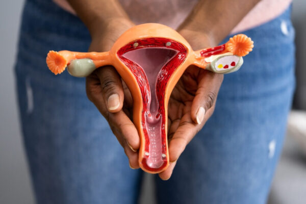 انسيبتا مكمل غذائي للنساء لعلاج تكيس المبايض وتحفيز التبويض وزيادة فرص الحمل.تحتوي علي مجموعة من المكونات النشطة لتحسين وظائف الجهاز التناسلي للنساء.